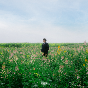 男女性色大片免费网站
